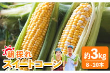 朝採れスイートコーン 3kg (8～10本) - 野菜 とうもろこし とうきび トウキビ BBQ キャンプ 旬 おやつ 特産品 sg-0005