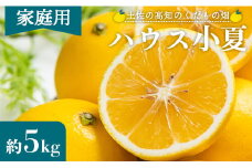 【2026年出荷分】小夏(日向夏) 5kg 訳あり 高知 家庭用 土佐 ハウス小夏 訳あり こなつ 果物 フルーツ 土佐の高知のくだもの畑 【先行予約】 - 柑橘 おいしい 国産 甘い kd-0030