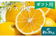 【2026年出荷分】【贈答用】ハウス小夏(日向夏) 5kg 高知 土佐 こなつ 果物 フルーツ 土佐の高知のくだもの畑 【先行予約】 - 柑橘 おいしい 国産 贈答用 お礼 御礼 kd-0032
