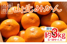 みかん 3kg 甘い 山北みかん 先行受付 (露地・Ｓ～Ｍ) ギフト用 高橋農園 - 果物 フルーツ ミカン 蜜柑 柑橘 th-0017