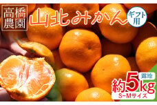 みかん 5kg 小玉 山北みかん 高橋農園 (露地・Ｓ～Ｍ) 先行受付 ギフト用 - 果物 フルーツ 柑橘 みかん th-0008
