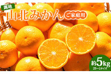 【先行受付】みかん 5kg 訳あり ブランドみかん 山北みかん 訳あり みかん 5kg (家庭用・露地) 果物 フルーツ 温州みかん ミカン 柑橘 おいしい 甘い 訳あり みかん 高知県 1万円以上 10000円以上 香南市 常温 ku-0022