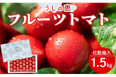 【先行受付】野菜ソムリエが育てた フルーツトマト 1.5kg(化粧箱入) 甘い 高知 うしの恵 - トマト 数量限定 旬 国産 常温 おかず 惣菜 野菜 フルーツ トマト とまと 産地直送 料理 完熟 甘い あまい フレッシュ さっぱり 酸味 ギフト 贈答 お礼 御礼 mj-0019