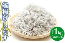 土佐名産 釜揚しらす1kg(250g×4) - しらす 釜揚げ 小分け しらす丼 魚 シラス tk-0012