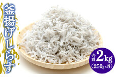 しらす 2kg 冷凍 小分け 釜揚げ (250g×8) 高知 土佐名産 釜揚 - しらす丼 魚 しらす tk-0014