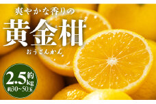 間城農園 爽やかな香りの黄金柑(おうごんかん)2.5kg - フルーツ 果物 柑橘 ms-0044