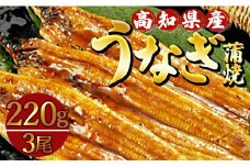 うなぎ 蒲焼き 国産鰻 3尾(合計約660g) 人気 養殖 高知県産 冷凍 ウナギ かばやき 惣菜 お手軽 加工品 加工食品 魚介類 ss-0035