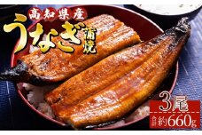 うなぎ 蒲焼き 国産鰻 3尾(合計約660g) 人気 養殖 高知県産 冷凍 ウナギ かばやき 惣菜 お手軽 加工品 加工食品 魚介類 ss-0035