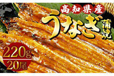 うなぎ 蒲焼き 国産 鰻 20尾(合計約4400g)  人気 冷凍 養殖 高知県産  ウナギ かばやき 惣菜 お手軽 加工品 加工食品 魚介類 ss-0038