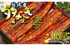 肉厚ふっくら香ばしい 台湾産養殖うなぎ蒲焼 120g～140g 10尾セット ss-0028