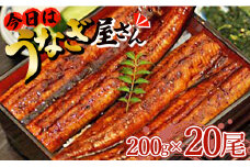 肉厚ふっくら香ばしい 台湾産養殖うなぎ蒲焼 200g 20尾セット ss-0031