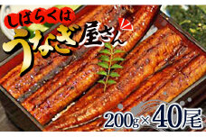 肉厚ふっくら香ばしい 台湾産養殖うなぎ蒲焼 200g 40尾セット ss-0032