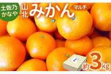 【3kg】みかん 土佐乃かなや マルチ 山北みかん - 柑橘 ミカン 果物 フルーツ のし かなや農園 合同会社Benifare be-0062