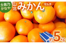 みかん 5kg sサイズ から Lサイズ 甘い 土佐乃かなや マルチ 山北みかん5kg - 柑橘 ミカン 果物 フルーツ be-0063