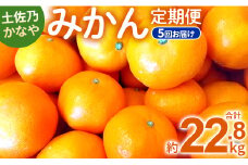 土佐乃かなや 数量限定5回定期便 - ミカン 柑橘 果物 フルーツ 倭香 山北みかん Wbe-0019