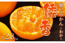 【数量限定】土佐乃かなや マルチ 献上みかん「倭香(わか)」2.8kg - 送料無料 柑橘 のし 熨斗 数量限定 配送時間指定 箱 贈答品 贈答用 プレゼント ギフト お祝い 内祝い 感謝 お礼 御礼 お歳暮 高知県 香南市 常温 be-0064