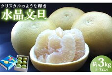 【希少】水晶文旦 文旦 高知 3kg ブランド文旦 先行受付 高知県香南市産 贈答 - 果物 文旦 ぶんたん ブンタン フルーツ 柑橘 香南市産 高知県 数量限定 期間限定 季節限定 旬 常温 ku-0031