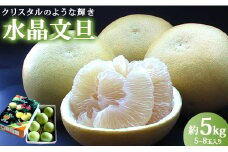 【希少】水晶文旦 文旦 高知 5kg ブランド文旦 先行受付 高知県香南市産 贈答 - 果物 フルーツ 文旦 ぶんたん ブンタン  柑橘 香南市産 高知県 数量限定 期間限定 季節限定 旬 常温 ku-0034