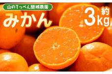 みかん 3kg 山のてっぺん間城農園のみかん3kg - フルーツ 果物 柑橘 みかん フルーツ 柑橘 期間限定 ms-0045