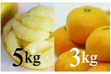 【柑橘定期便】間城農園みかん3kg・土佐文旦5kg - 果物 フルーツ お楽しみ おすそ分け 送料無料 間城農園 Wms-0055