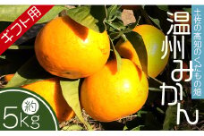 【先行受付】みかん 5kg 贈答用 土佐の高知のくだもの畑 - みかん ギフト 母の日 アイス みかんジュース ミカン kd-0026