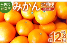 土佐乃かなや 数量限定3回定期便 - ミカン 柑橘 果物 フルーツ 倭香 山北みかん Wbe-0020
