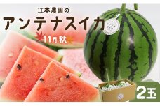 【先行受付】【期間限定】江本農園の11月秋アンテナスイカ2玉 - 数量限定 のし対応可 熨斗 果物 くだもの フルーツ すいか 西瓜 糖 完熟 甘い みずみずしい 瑞々しい ハウス栽培 ジューシー 果汁 果実 贈り物 贈答用 贈答品 プレゼント プチ ギフト お祝い 御祝い 内祝い 御礼 お礼 ご褒美 すいか スイカ em-0018