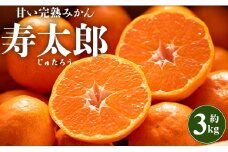 みかん 寿太郎みかん 3kg 高糖度 間城農園 甘い完熟みかん寿太郎(じゅたろう) - 柑橘 フルーツ 果物 みかん ミカン みかん 蜜柑 ms-0046