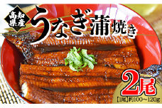 うなぎ蒲焼き 国産 鰻 2尾 100～120g 高知県産養殖うなぎ蒲焼き セット 1万円以上 10000円以上 fb-0142