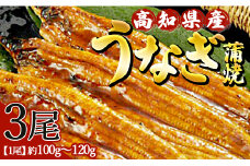 高知県産養殖うなぎ蒲焼 100～120g 3尾セット ss-0025