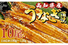 高知県産養殖うなぎ蒲焼 10尾(合計1000g以上) - 鰻 ウナギ 国産 蒲焼き かば焼き かばやき うな丼 うな重 ギフト お中元 御中元 父の日 お礼 御礼 感謝 贈答 贈り物 土用の丑の日 高知県 香南市 ss-0041