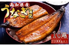 高知県産養殖うなぎ蒲焼 10尾(合計1000g以上) - 鰻 ウナギ 国産 蒲焼き かば焼き かばやき うな丼 うな重 ギフト お中元 御中元 父の日 お礼 御礼 感謝 贈答 贈り物 土用の丑の日 高知県 香南市 ss-0041