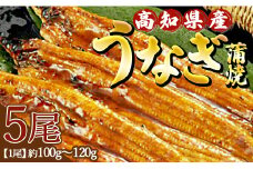 高知県産養殖うなぎ蒲焼 5尾(合計500g以上) - タレ付き たれ 土用の丑の日 鰻 ウナギ かばやき 蒲焼き うな丼 うな重 ギフト お中元 御中元 父の日 お礼 御礼 感謝 プレゼント 送料無料 須崎市道の駅 高知県 香南市 ss-0040