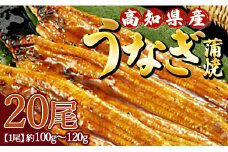 高知県産養殖うなぎ蒲焼 20尾(合計2000g以上) ss-0042