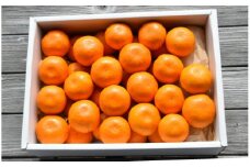 イングリッシュガーデンハウス 山北露地みかん3kg 化粧箱 - 送料無料 化粧箱 みかん ミカン 蜜柑 柑橘 ギフト のし お取り寄せ フルーツ 果物 国産 eh-0026