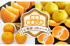 【4回定期便】柑橘お楽しみ定期便４回コース - フルーツ 定期便 4回配送 旬 果物 くだもの フルーツ かんきつ 蜜柑 みかん ミカン せとか なつみ 小夏 こなつ 温室みかん 山北みかん 高知県 香南市 常温 フルーツ定期便 Wku-0046