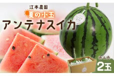 【7月発送】スイカ 先行予約 小玉 約4kg 糖度14度前後 2玉 西瓜 江本農園 夏の小玉アンテナスイカ 赤 - ギフト 減農薬 高糖度 立体栽培 期間限定 すいか 西瓜 フルーツ 果物 くだもの デザート em-0031