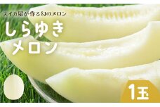 【数量限定】【期間限定】しらゆきメロン 1玉 糖度約16度 甘い 白 - メロン 果物 デザート 国産 常温 人気 おすすめ 旬スイカ屋が作る幻のメロン「しらゆきメロン」1玉 em-0026