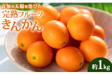 【数量限定】高知の太陽を浴びた 完熟フルーツきんかん 約1kg 先行受付 - 果物 くだもの キンカン 金柑 あまい おいしい 柑橘 送料無料 期間限定 季節もの 高知県 香南市 ku-0032