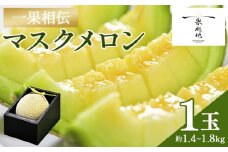 メロン 青肉 高級 先行予約 青肉 高知 1玉 一果相伝マスクメロン 先行予約 フルーツ メロン 果物 デザート - めろん 果物 くだもの フルーツ 贈答用 贈答品 贈り物 ギフト お祝い 御祝い 感謝 産地直送 新鮮 篤農 高級 贅沢 ぜいたく ご褒美 1万円以上 10000円以上 デザート 特別 プレゼント tn-0010