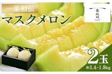 メロン 青肉 2個  2玉 贈答 ギフト 高知 一果相伝マスクメロン 青肉 先行予約 フルーツ メロン 果物 デザート tn-0012