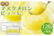ピューレ メロンピューレ 120g×6袋 めろんぴゅーれ 青肉 「めざましどようび キクエがキクヨ！」で特集 完熟マスクメロン ぴゅーれ 果物 フルーツ めろん 果実 果汁100％ 丸搾り おもてなし おやつ ジュース シャーベット アイス アレンジ デザート 贈答用 贈り物 のし 篤農 高知県 香南市 冷凍 tn-0007