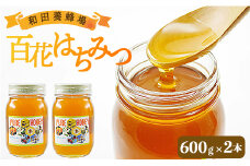 和田養蜂場 百花はちみつ(600g)2本 - 風邪予防 老化防止 トースト 紅茶 朝ごはん おやつ 香南市産 wh-0004