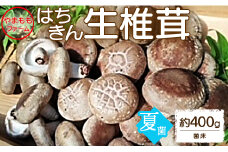 やまももファーム椎茸 夏菌はちきん生椎茸(菌床)約400g yo-0009