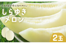 【数量限定】【期間限定】しらゆきメロン 2玉 糖度16度 甘い メロン - 果物 くだもの フルーツ めろん 2個 デザート 甘い おいしい 糖度 16度 減農薬 高糖度 ギフト 贈り物 特産品 国産 おすすめ 江本農園 高知県 香南市 常温 em-0027