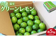 レモン 高知 グリーンレモン 約5kg(S～Lサイズ) 数量限定 - 果物 フルーツ 柑橘 のし対応可 レモン酎ハイ お酒 お菓子 料理 高知県 香南市 ku-0035