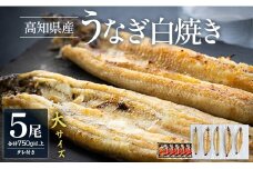 うなぎ 国産 5尾 白焼き 鰻 吉川水産 高知県産 大サイズ(150～180g)×5尾 - タレ付き 鰻 ウナギ 国産 yw-0124