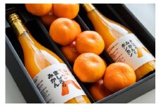 間城農園 みかん1kgと100％ジュース2本のセット(みかんジュース＆みかんとポンカンミックスジュース各1本) 柑橘 果汁100％ みかん ms-0052