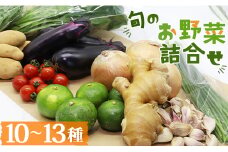 野菜 野菜詰め合わせ 野菜セット 10～13品目 高知県香南市産 旬 国産 新鮮 冷蔵 pr-0007