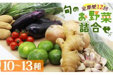 【12ヶ月】定期便 野菜 詰め合わせ 高知県香南市産 旬のお野菜詰合せ(10～13品目) - やさい おまかせ セット 土佐野菜 新鮮 高知県 香南市 Wpr-0010